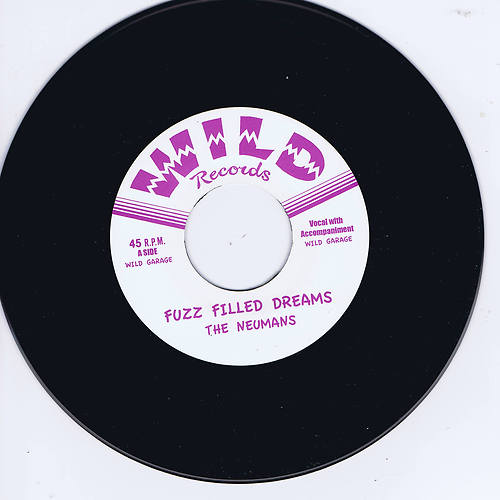 THE NEUMANS: FUZZ FILLED DREAMS